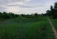 Cơ Hội Vàng Sở Hữu Nhà Mặt Phố Mặt Tiền Rộng Ấp 2 Bình Chánh... Bán nhà mặt phố tại Bình Chánh, Hồ Chí Minh 07