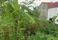 Lô Đất 180m2 Mặt Tiền Rộng Tại Xã Đặng Cương, An Dương... Bán đất tại An Dương, Hải Phòng 04