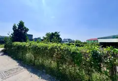 Đất Mặt Tiền Liên Tổ Siêu Lớn, Cơ Hội Đầu Tư Hiếm Có... Bán nhà mặt phố tại Bình Chánh, Hồ Chí Minh 11