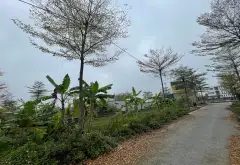 Bán 68m2 Đất Vàng Đấu Giá Khu Cây Sung - Đan Phượng, Phân lô , ô tô tránh, xây nhà ở sướng.... Bán đất tại Đan Phượng, Hà Nội 06