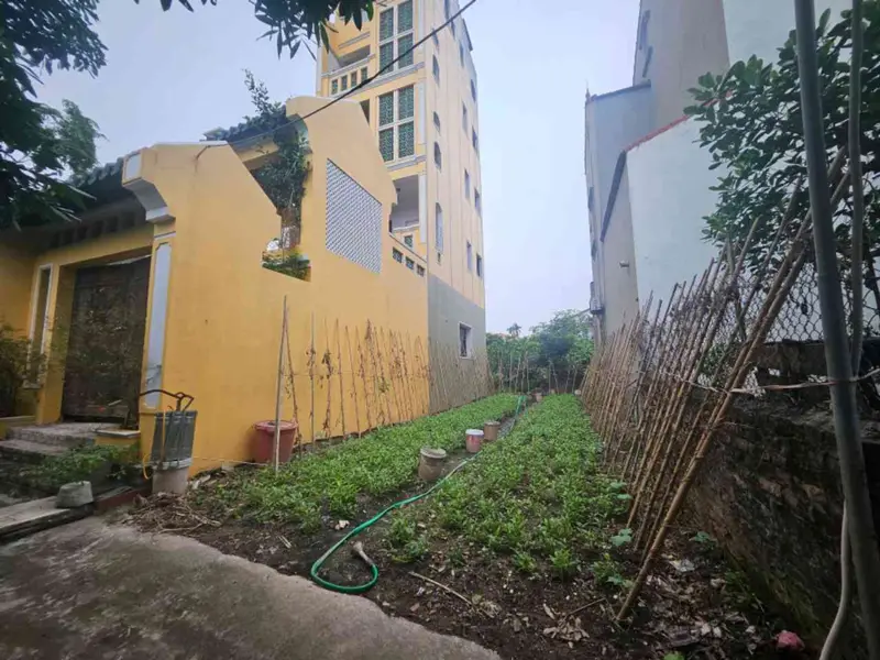 Lô đất vàng gần KĐT Aluvia, mặt tiền rộng, đầu tư cực phẩm... Bán đất tại Văn Giang, Hưng Yên 01