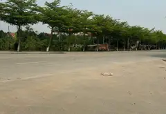 Bán đất mặt đường N1 Hạ Mỗ, đường rộng thênh thang, kinh doanh đỉnh... Bán đất tại Đan Phượng, Hà Nội 07