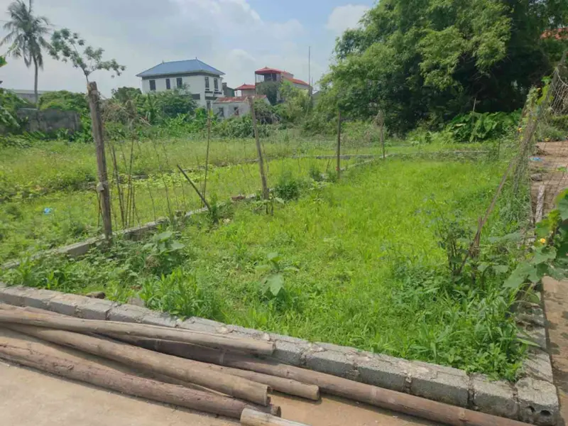 Không thể tin được, nhỉnh tỷ sở hữu mảnh đất tại thủ đô Hà Nội.
Cơ hội đầu tư vẫn luôn mở cửa 🤩... Bán đất tại Phú Xuyên, Hà Nội 01