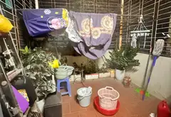Bán nhà 4 tầng diện tích 30m² tại Kim Giang, lô góc thoáng sáng, nội thất chất lượng cao.... Bán nhà riêng tại Định Công, Hà Nội 14