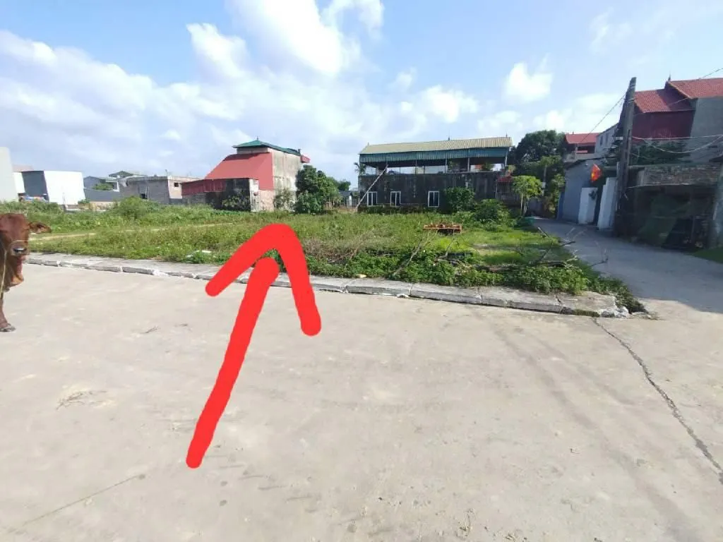 Cơ hội sở hữu đất mặt tiền rộng, gần sân bay và khu công nghiệp, giá tốt tại Bắc Thượng... Bán owner_side tại Kim Anh, Hà Nội 01