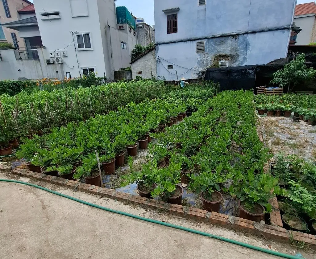 Cơ hội sở hữu đất thổ cư hiếm có tại xã Phụng Công, Văn Giang với giá tốt... Bán owner_side tại Tân Hưng, Hưng Yên 01