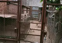 Nhà Mặt Phố Sầm Uất, Diện Tích Lớn, Tiện Lợi Kinh Doanh... Bán nhà mặt phố tại Dĩ An, Hồ Chí Minh 17
