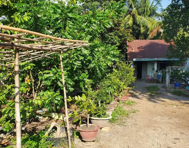 Nhà Mặt Phố View Sông Rộng 938m2 Tại Bình Chánh... Bán nhà mặt phố tại Bình Lợi, Hồ Chí Minh 01