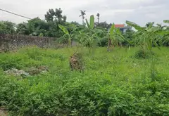 Đất đẹp tại phường Lưu Kiếm, TP Thủy Nguyên, diện tích phù hợp xây dựng... Bán đất tại Lưu Kiếm, Hải Phòng 12