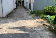 Lô đất vàng 94,6m2 ngay Chúc Sơn - Đầu tư cực nét!... Bán đất tại Chương Mỹ, Hà Nội 02