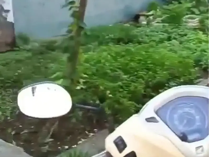 Lô đất vuông vức siêu đẹp ở Hải An, chuẩn đầu tư!... Bán đất tại Hải An, Hải Phòng 01