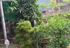 Bán đất mặt tiền 5m Nguyễn Văn Thoại, quận Sơn Trà, diện tích 89,3m² pháp lý cơ sở... Bán đất tại Sơn Trà, Đà Nẵng 01