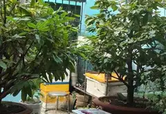 Cơ hội vàng sở hữu nhà mặt tiền Âu Dương Lân, Quận 8, giá giảm sốc... Bán nhà riêng tại Chánh Hưng, Hồ Chí Minh 02