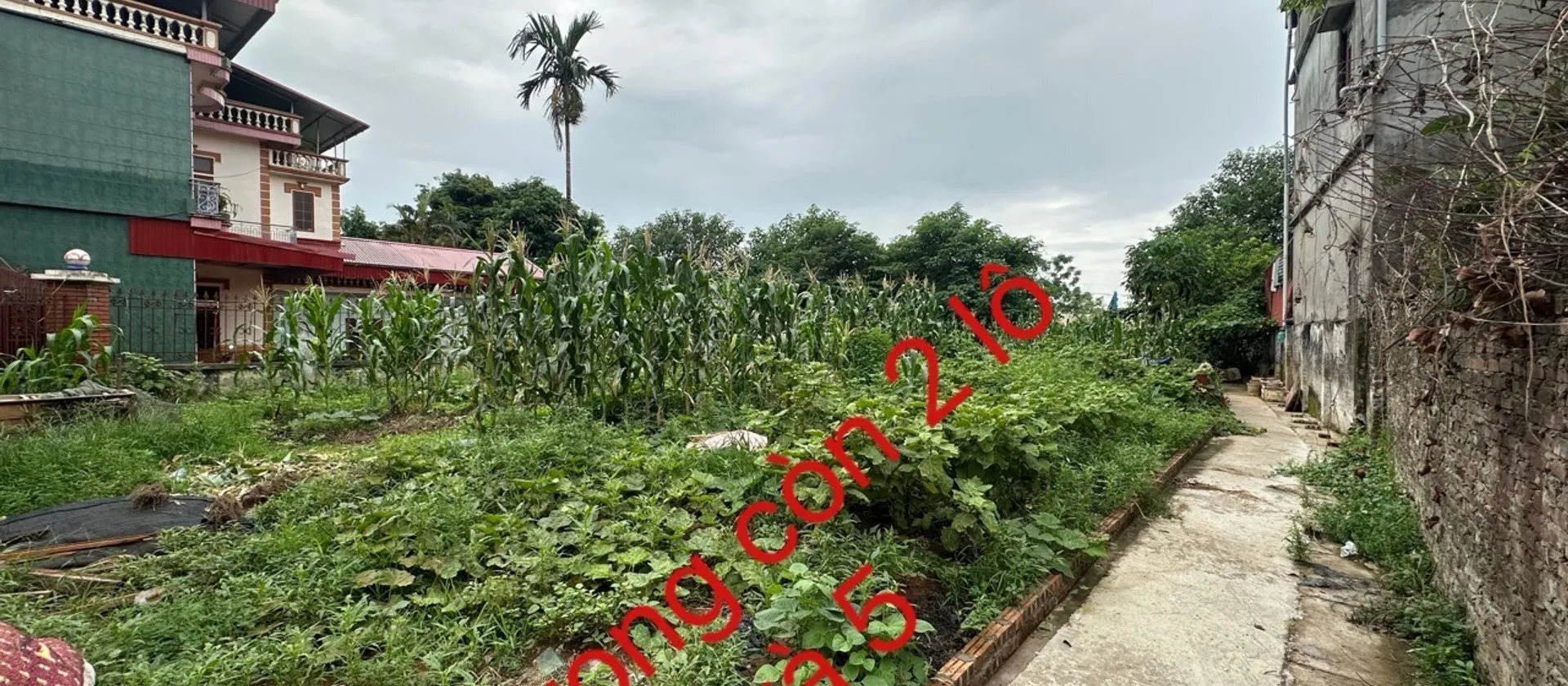 Bán đất phân lô tại xã Đồng Nguyên, thôn Tam Lư, diện tích 60m2, pháp lý chuẩn... Bán đất tại Đồng Nguyên, Bắc Ninh 01
