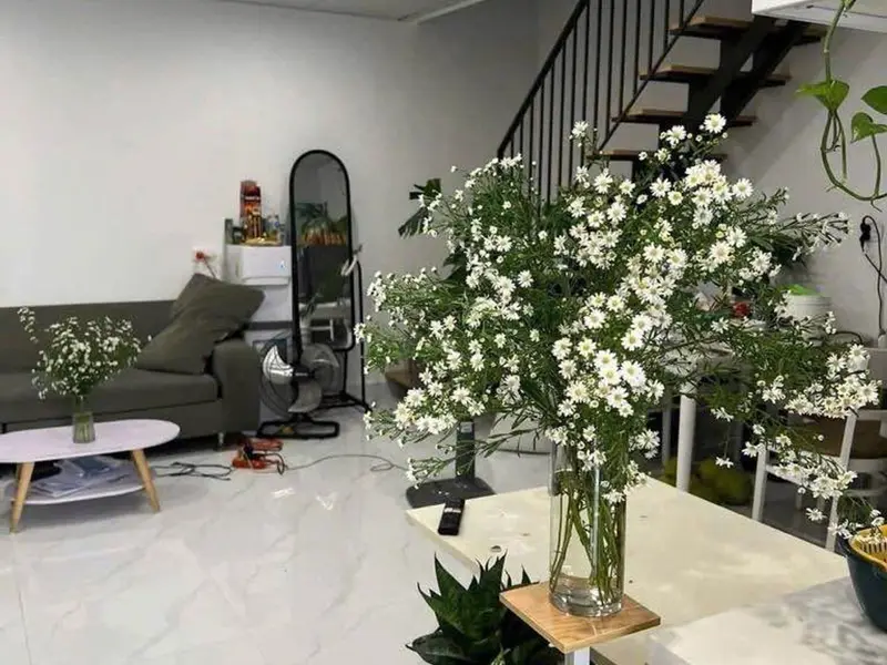 Nhà đẹp sang trọng 34m2, tại Lê Lợi, trung tâm Hà Đông, giá tốt, cơ hội chỉ có một... Bán nhà riêng tại Hà Đông, Hà Nội 01