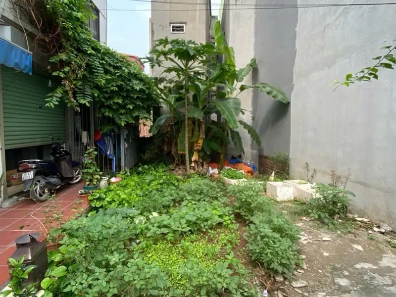 Bán đất mặt tiền 5m tại khu vực có nhiều tiện ích trường học, diện tích 69.8 m2... Bán đất tại Phúc Lợi, Hà Nội 01