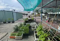 Bán nhà Đường 10m Phan Huy Ích, 3 tầng 559m2, 12 phòng, mặt tiền 14.5m... Bán nhà riêng tại An Hội Tây, Hồ Chí Minh 15