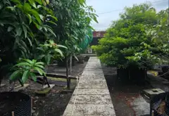 🔥🔥 ĐẤT 1.030M² – THỔ CƯ 825M² – HIẾM CÓ 🔥🔥 ĐƯỜNG PHẠM VĂN SÁNG – XÃ VĨNH LỘC - TP. HCM... Bán nhà riêng tại Vĩnh Lộc, Hồ Chí Minh 09