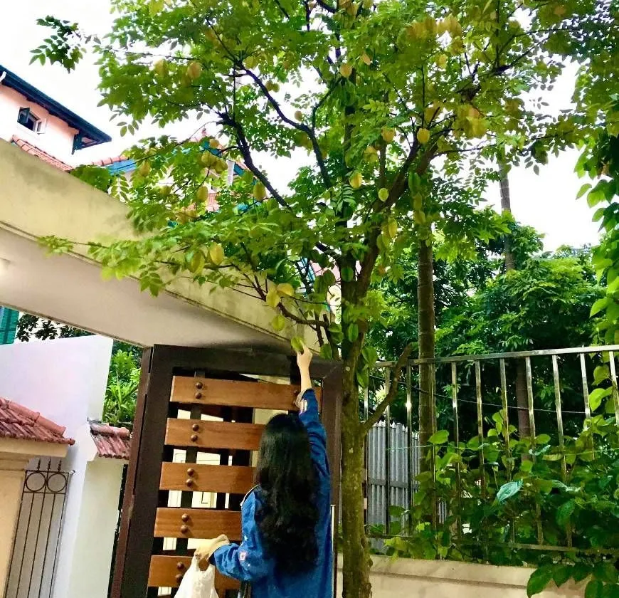 Bán mọi giá nhà sân vườn Thang máy tại Ngọc Thụy, Long Biên... Bán nhà riêng tại Bồ Đề, Hà Nội 01