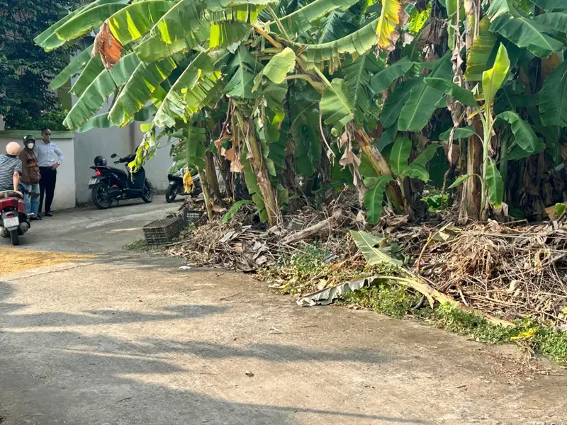 🔥 Lô góc 2 mặt thoáng – Tập Ninh, Chi Lăng, Bắc Ninh | 110m² – Chi Lăng Bắc Ninh - 1.95 tỷ... Bán đất tại Chi Lăng, Bắc Ninh 01