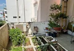 🔥 HẺM XE HƠI 5M THÔNG 1 TRỤC – NGANG 4,5M – SỔ VUÔNG – 77M²... Bán nhà riêng tại Đức Nhuận, Hồ Chí Minh 13