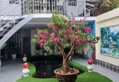 Bán nhà mặt phố – 648m² – An Hải, Sơn Trà, Đà Nẵng – 145 tỷ... Bán nhà mặt phố tại An Hải, Đà Nẵng 08