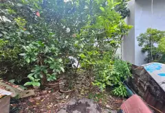 Bán đất sổ đỏ, giá mềm tại Ngọc Trục, sử dụng diện tích rộng 40m²... Bán đất tại Đại Mỗ, Hà Nội 02