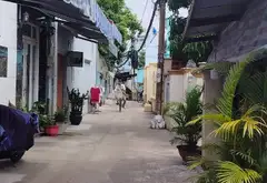 Bán đất rộng hơn 700 m2 tại trung tâm Nhà Bè giá tốt... Bán đất tại Nhà Bè, Hồ Chí Minh 03