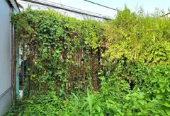 Bán đất mặt tiền đường Trần Văn Giàu, diện tích 216m2 giá 8.2 tỷ... Bán đất tại Bình Lợi, Hồ Chí Minh 08