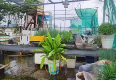 Cơ hội hiếm có tại phường Bình Tân - Nhà riêng 3 tầng giá trị vượt trội... Bán nhà riêng tại Bình Tân, Hồ Chí Minh 18