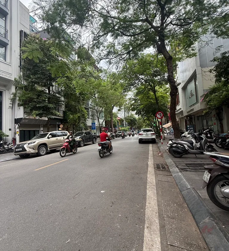 Bán nhà riêng 4 tầng, 50m2, mặt ngõ phố Tô Hiến Thành, trung tâm Hai Bà Trưng, giá nhỉnh 16tỷ... Bán nhà riêng tại Hai Bà Trưng, Hà Nội 01