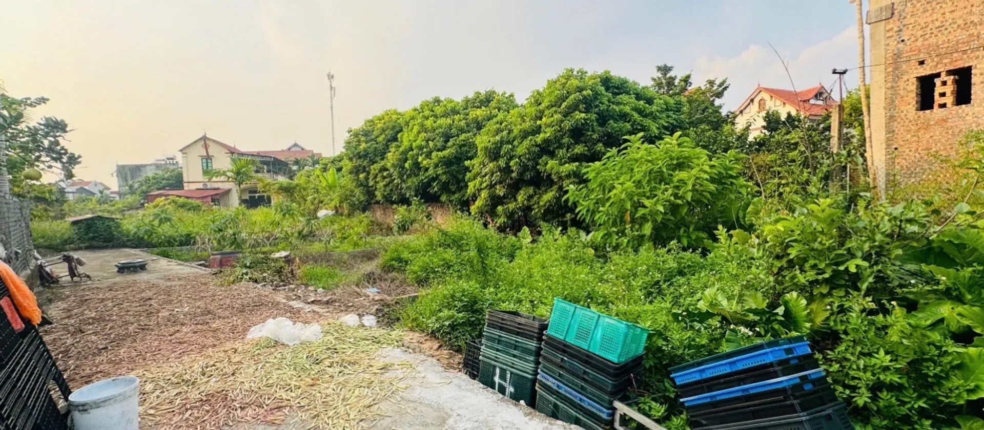 Đất đẹp tại thôn CD Quán Trạch Văn Giang, Hưng Yên,ô tô vào tận nhà... Bán đất tại Văn Giang, Hưng Yên 01