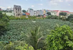 Nhà Phân Lô Đẹp 3 Tầng tại Phường Thới An - Cơ Hội Vàng Sở Hữu Ngay!... Bán nhà riêng tại Thới An, Hồ Chí Minh 02