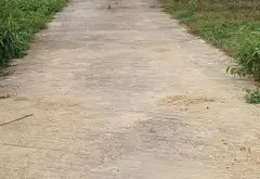Đất siêu rộng mặt tiền lớn, ô tô đỗ cửa tại Sóc Sơn... Bán đất tại Sóc Sơn, Hà Nội 06