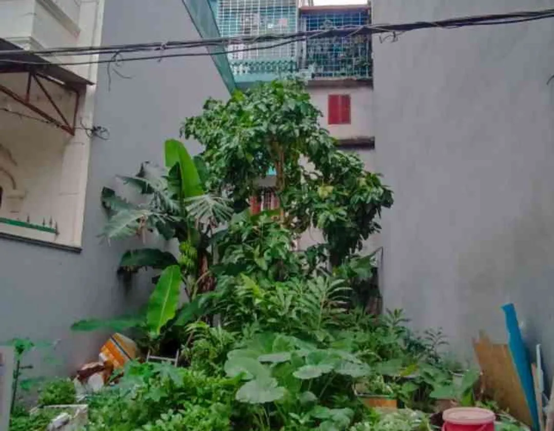 Đất Sổ Hoa Hậu Mặt Tiền 5m - Ô Tô Đỗ Cửa, Thiết Kế Nhà Đẹp Nhất Khu... Bán đất tại Ngô Quyền, Hải Phòng 01