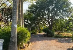 Cơ hội duy nhất sở hữu đất sinh thái ven sông Sài Gòn tại Củ Chi với giá hợp lý... Bán đất tại Bình Mỹ, Hồ Chí Minh 08