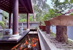 Biệt thự cây xanh Phú Nhuận rộng 274m², đẳng cấp ngay trung tâm... Bán nhà riêng tại Đức Nhuận, Hồ Chí Minh 01