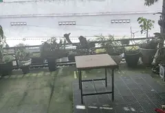 Nhà phố 3 tầng hiện đại tại Gò Cát, Quận 9... Bán nhà mặt phố tại Long Trường, Hồ Chí Minh 13