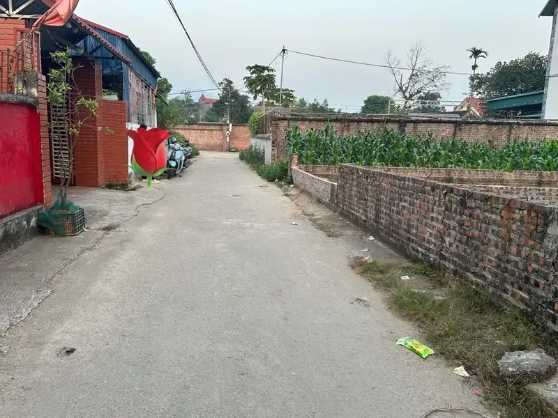 Bán đất 120m2 tại KIM ANH đường ô tô thông gần trường học... Bán đất tại Kim Anh, Hà Nội 01