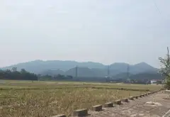 Cơ hội sở hữu đất mặt phố rộng 13.5m tại xã Trung Giã, Hà Nội giá bất ngờ... Bán đất tại Trung Giã, Hà Nội 09