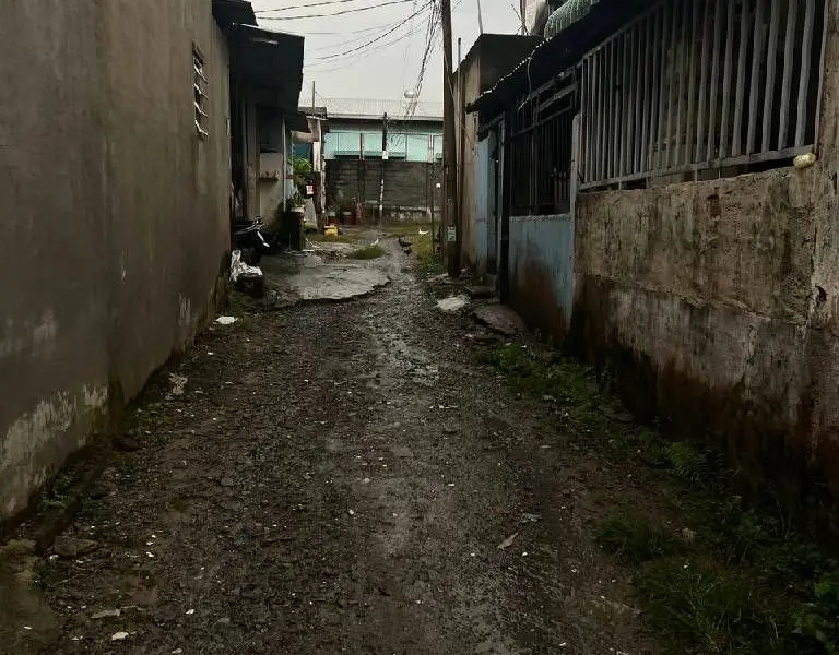 Bán đất Hồ Văn Tắng Củ Chi diện tích 231.5m2 mặt tiền 10m pháp lý rõ ràng... Bán đất tại Củ Chi, Hồ Chí Minh 01