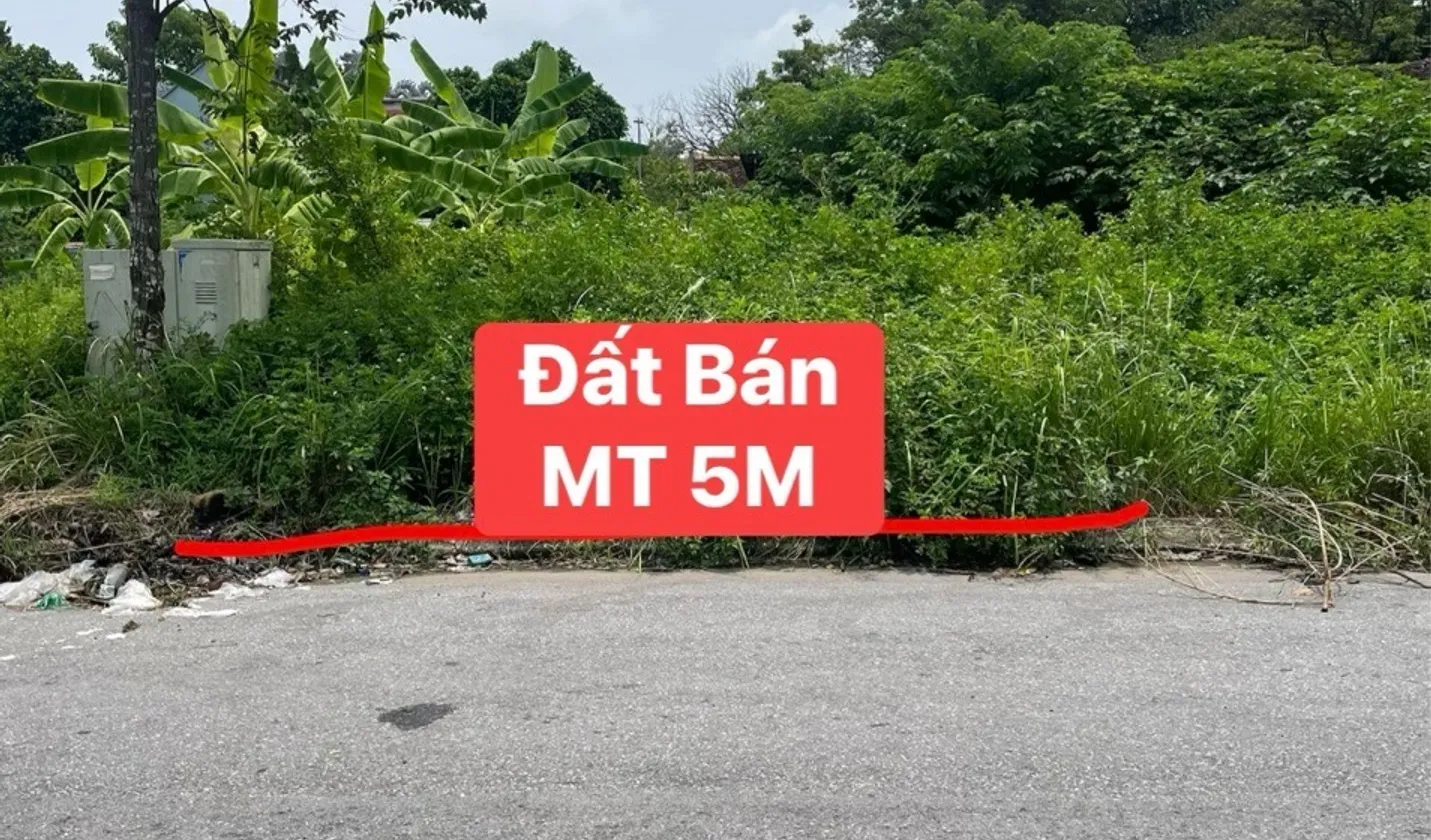 Lô Đất Mặt Tiền Rộng Tại Từ Sơn - Đầu Tư Sinh Lời... Bán đất tại Từ Sơn, Bắc Ninh 01