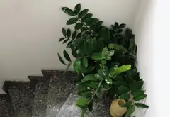 Bán nhà 5 tầng mặt tiền Nguyễn Đình Khơi, Quận Tân Bình, phù hợp kinh doanh... Bán owner_side tại Tân Sơn Nhất, Hồ Chí Minh 05