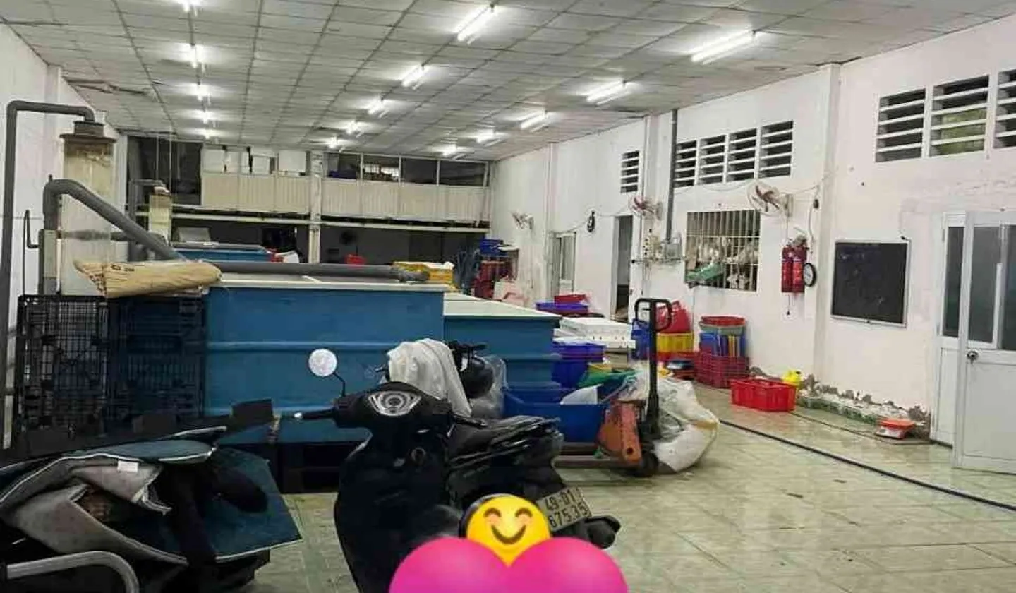 Bán kho xưởng 324m² mặt tiền 13m tại phường Thới An, Quận 12, giá 15 tỷ đồng... Bán đất tại Thới An, Hồ Chí Minh 01
