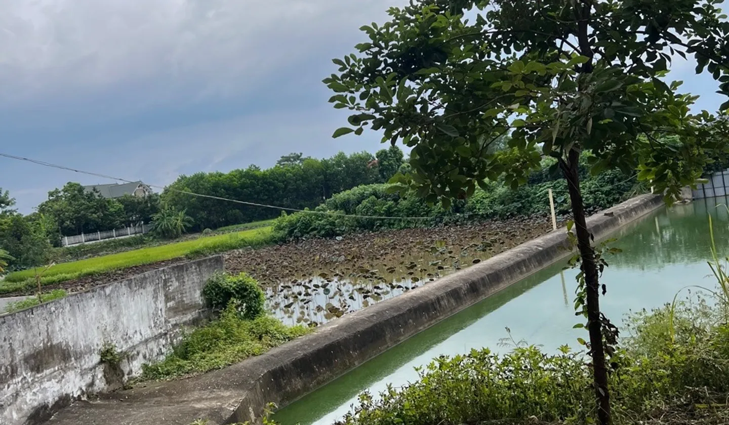 Đất GIÁ MỀM - thôn Ngọc Cụ xã Hoàng Vân tỉnh Bắc Giang cũ nay thuộc tỉnh Bắc Ninh.... Bán đất tại Từ Sơn, Bắc Ninh 01