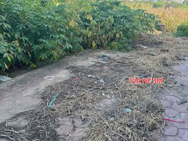 Bán đất phân lô mặt tiền 7m tại khu vực sầm uất, ô tô tránh, vỉa hè rộng... Bán đất tại Triệu Việt Vương, Hưng Yên 01