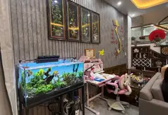 Nhà riêng 3 tầng tại Phường An Dương, Hải Phòng, diện tích 60.6 m2, phù hợp an cư lâu dài... Bán nhà riêng tại An Dương, Hải Phòng 03