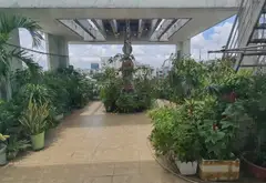 Bán nhà mặt phố 4 tầng diện tích 115m2 tại Quận 6 giá 21 tỷ... Bán nhà mặt phố tại Bình Phú, Hồ Chí Minh 15
