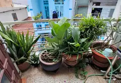 Nhà riêng 4 tầng rộng rãi tại Hoài Thanh, giá tốt chỉ 6,5 tỷ... Bán nhà riêng tại Phú Định, Hồ Chí Minh 03