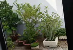 Nhà lô góc 4 tầng có thang máy, hẻm xe hơi quận Gò Vấp... Bán nhà riêng tại An Hội Tây, Hồ Chí Minh 12